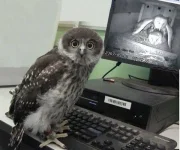 135346698336185.webp