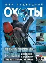 4_2006.webp