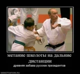 3.webp
