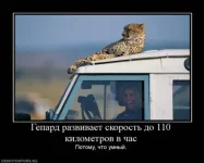5.webp