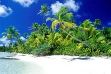карибы1.webp