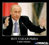 1244825533_demotivatorywwwvotruberu4.webp