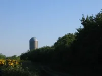 109766945.webp