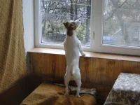 Изображение 243.webp