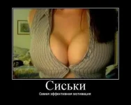 с2.webp