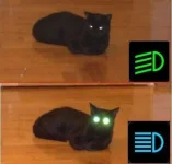 кот.webp
