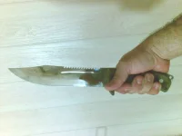 18032010(001).webp