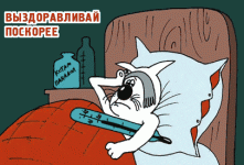 1.gif 1.gif