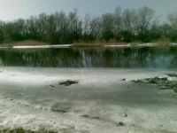 21032010.webp