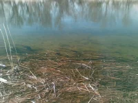 21032010(006).webp