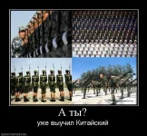 753289_a-tyi.webp