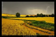 красота 4.webp