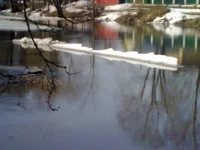 Льдина.webp