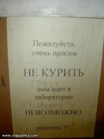 x_8cce178e.webp