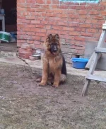 SNC00275.webp