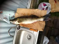 IMG_0842.webp IMG_0842.webp
