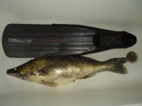 P4020077.webp P4020077.webp