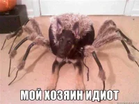 eyM57Gh74Zw.webp