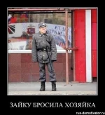 getImage (5).webp