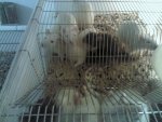 IMG_20121127_100256.jpg