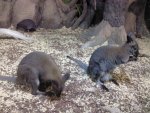 IMG_20121127_100519.jpg