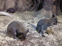 IMG_20121127_100519.webp