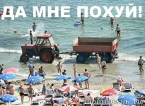 getImage (2).webp