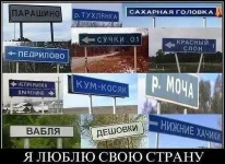 ипа.webp