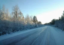 16.webp