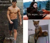 058a99b13cbcc6443c67cf60184ca531.webp