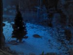 IMG_20121130_080635.jpg