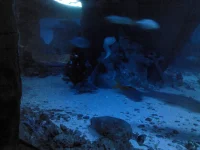 IMG_20121130_080711.webp