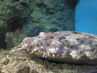 IMG_20121130_082554.webp