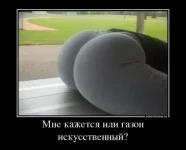 s3img_97882525_4116_0.webp