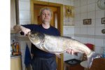 DSC00995.JPG