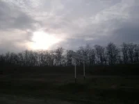 2012-11-30-378.webp