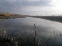 2012-12-01-401.webp