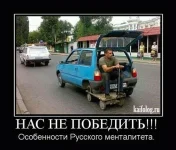 getImage (2).webp