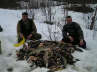 -46lQRJgeVE.webp