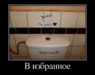 1334561074_demotiva.webp