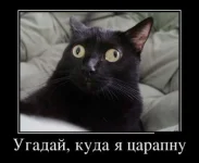 1353919240_00.webp