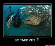 getImage рыП.webp