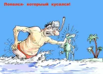 17540.webp