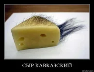 3.webp
