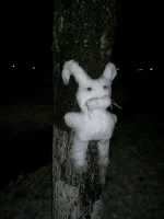 01122012114 (480x640).webp