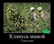 uOcdqUDN3D0 К.webp