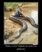 6Df73GaorLE К.webp