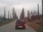 2012-12-03-431.jpg