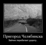 x_741dd46a.webp