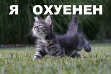 getImage (2).webp